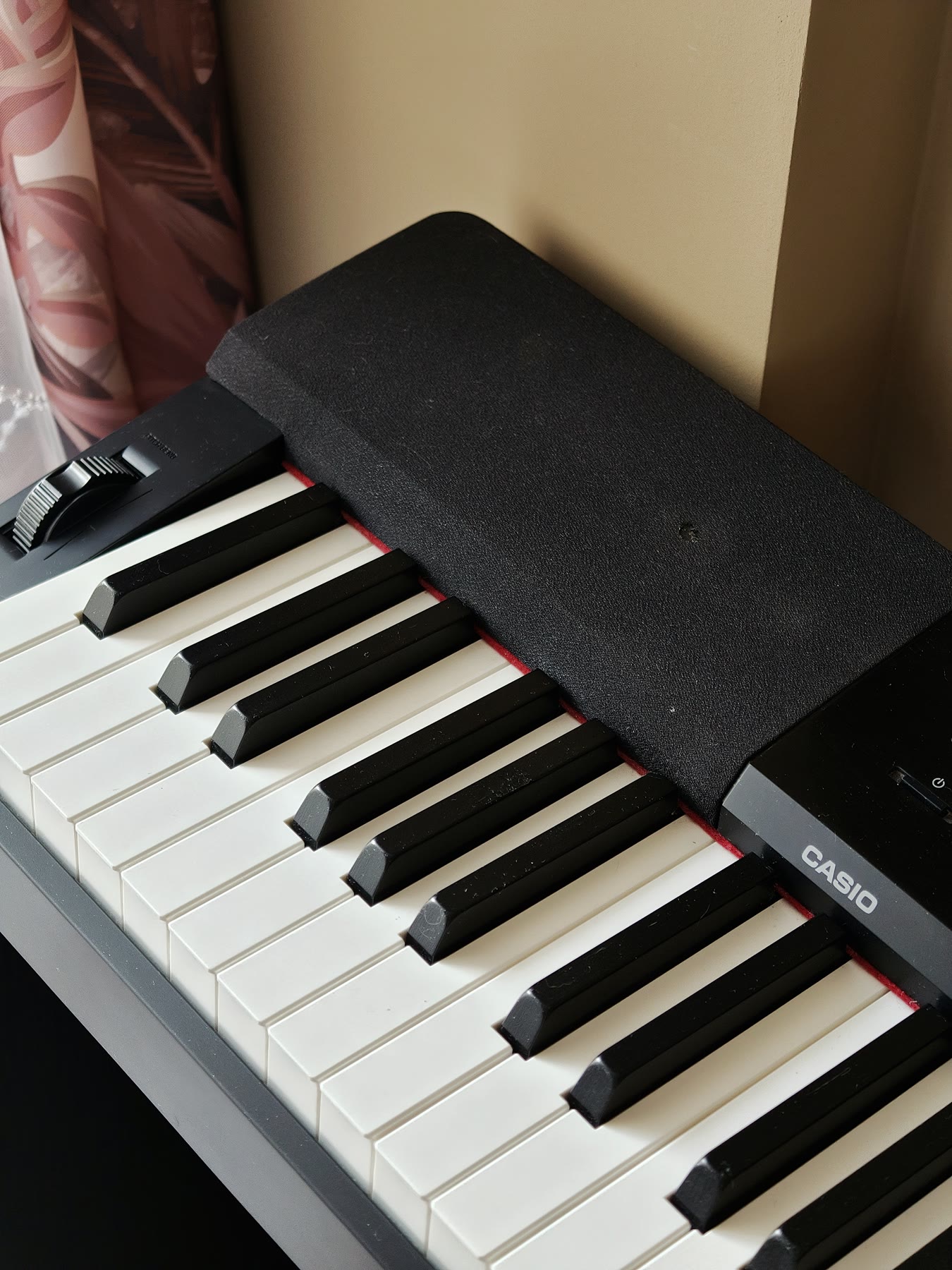 Цифровое пианино Casio Privia PX-350 9