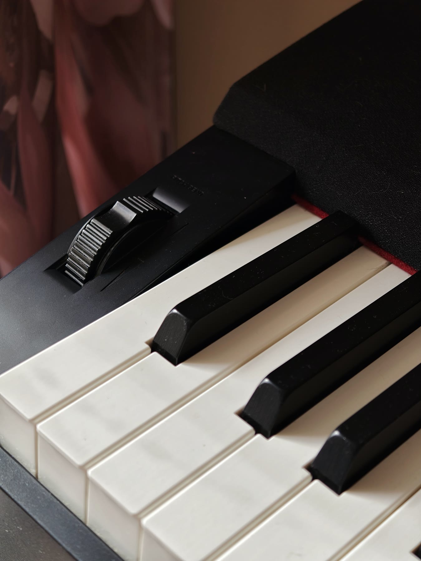 Цифровое пианино Casio Privia PX-350 4