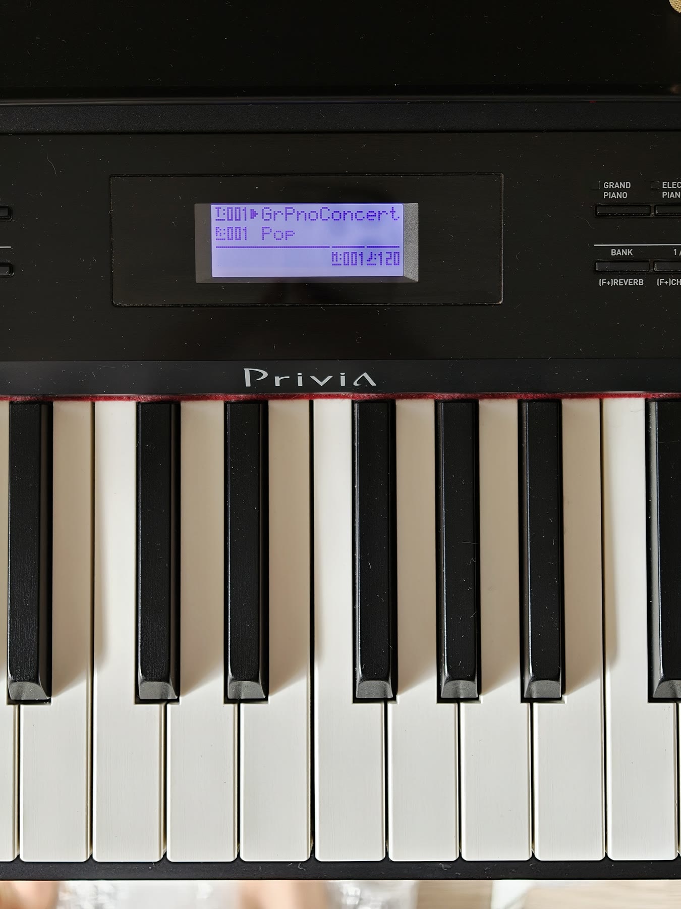 Цифровое пианино Casio Privia PX-350 3
